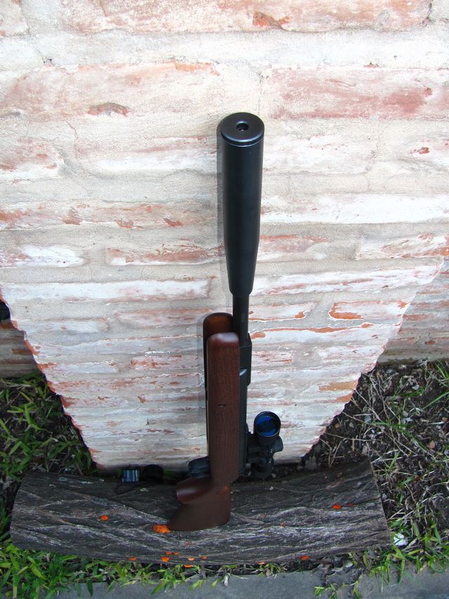 Nuevo rifle DIANA 34 Pro Compact .177 T06 Airguns